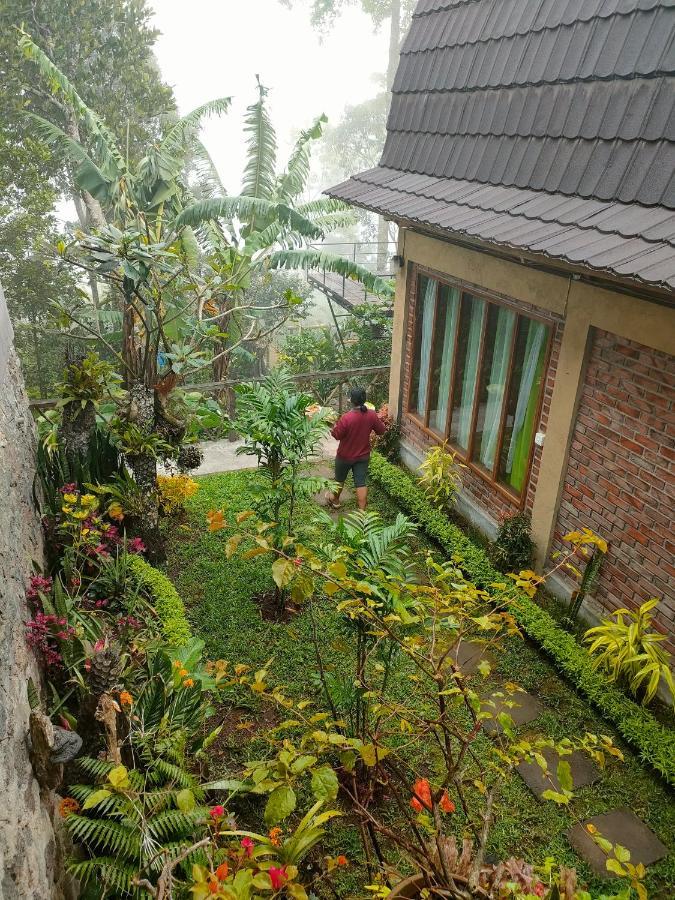 Retreat - Pekak Lelut Munduk (Bali)