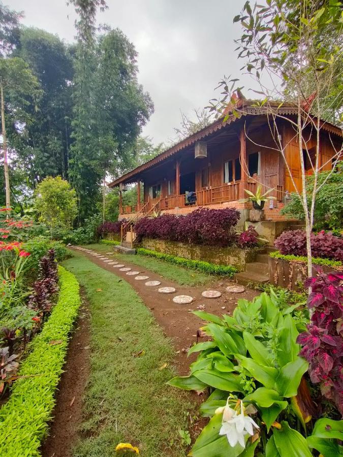 Retreat - Pekak Lelut Munduk (Bali)