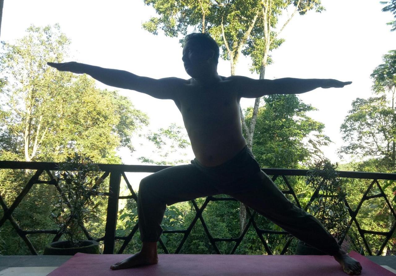 Retreat - Pekak Lelut Munduk (Bali)
