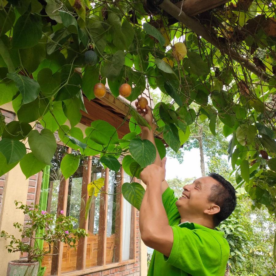 Retreat - Pekak Lelut Homestay Munduk (Bali)