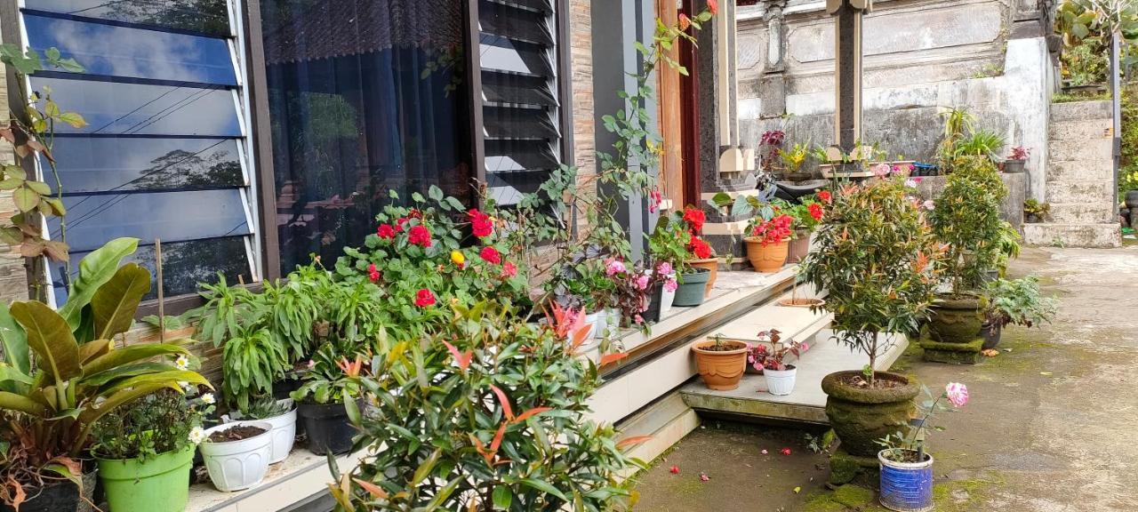 Retreat - Pekak Lelut Homestay Munduk (Bali)