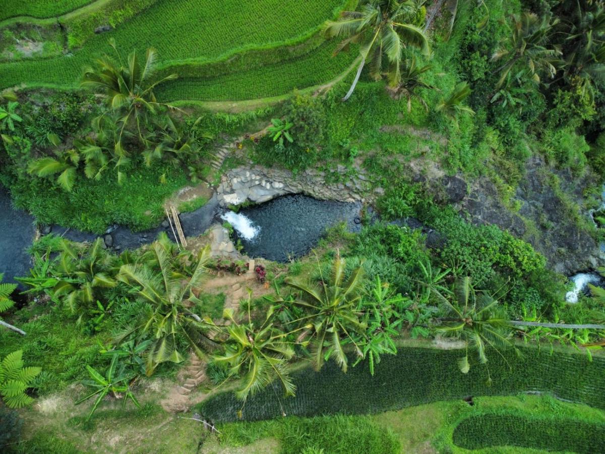 Homestay Friendly Lemukih Singaraja (Bali)