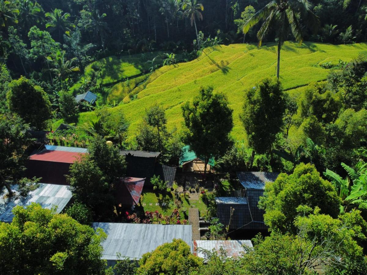 Homestay Friendly Lemukih *