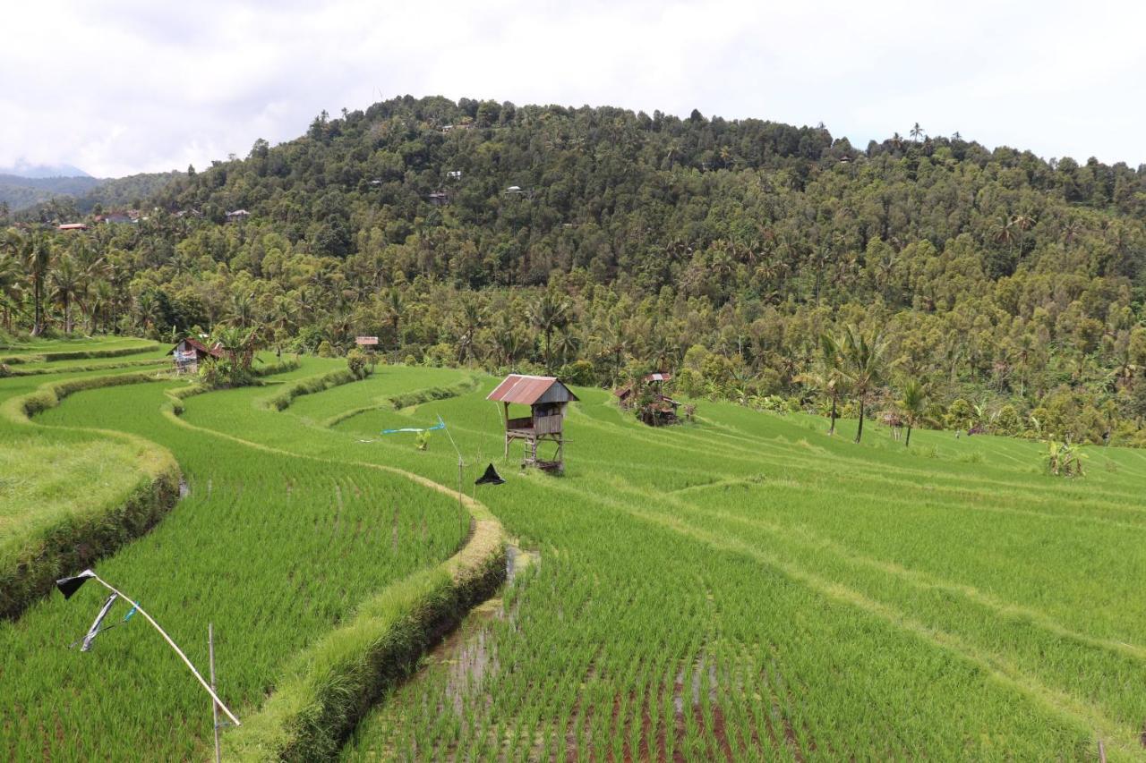 Sande Tempat Tidur & Sarapan