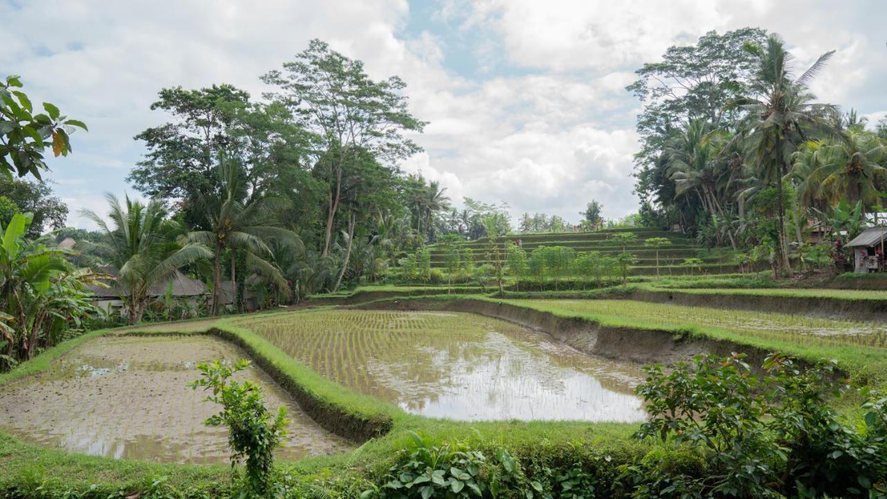 The Sebali 5*