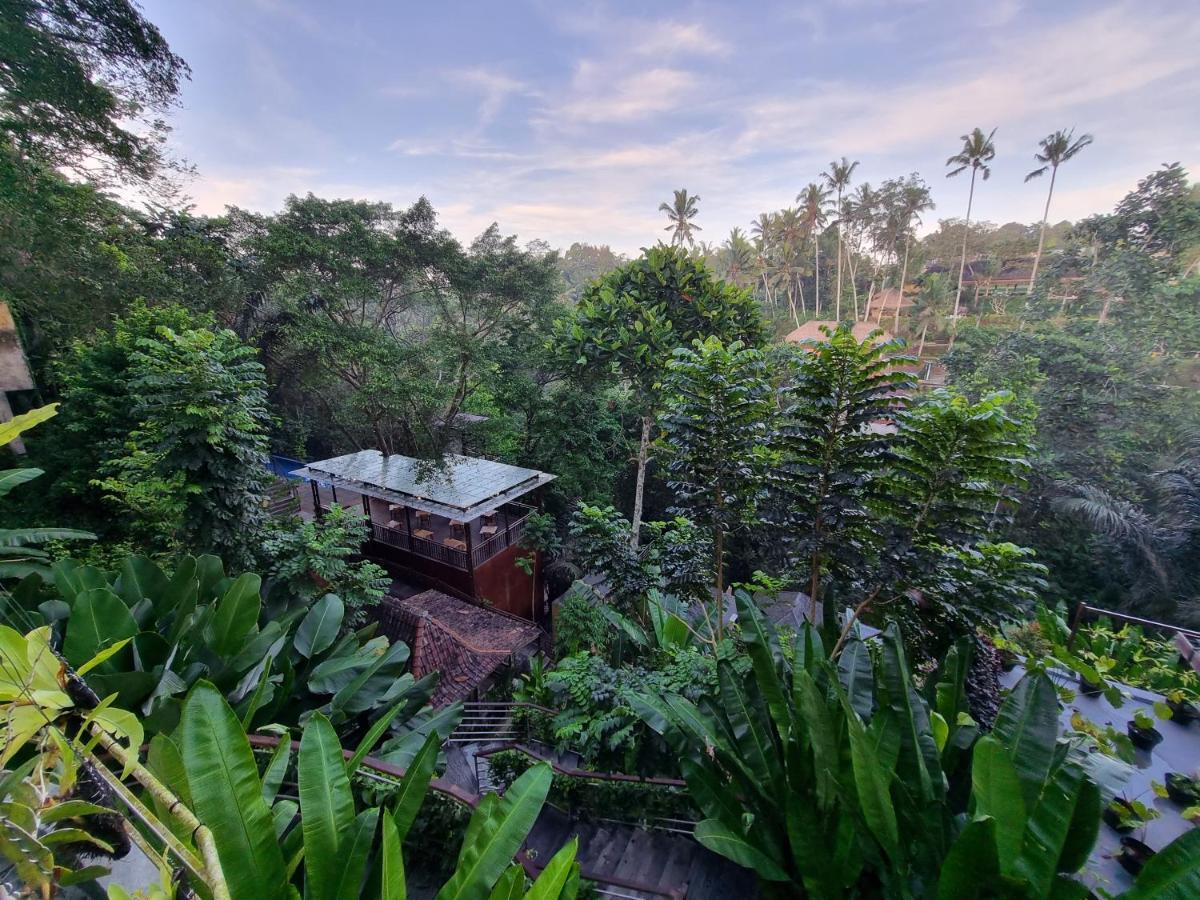 The Sebali Hotel 5*