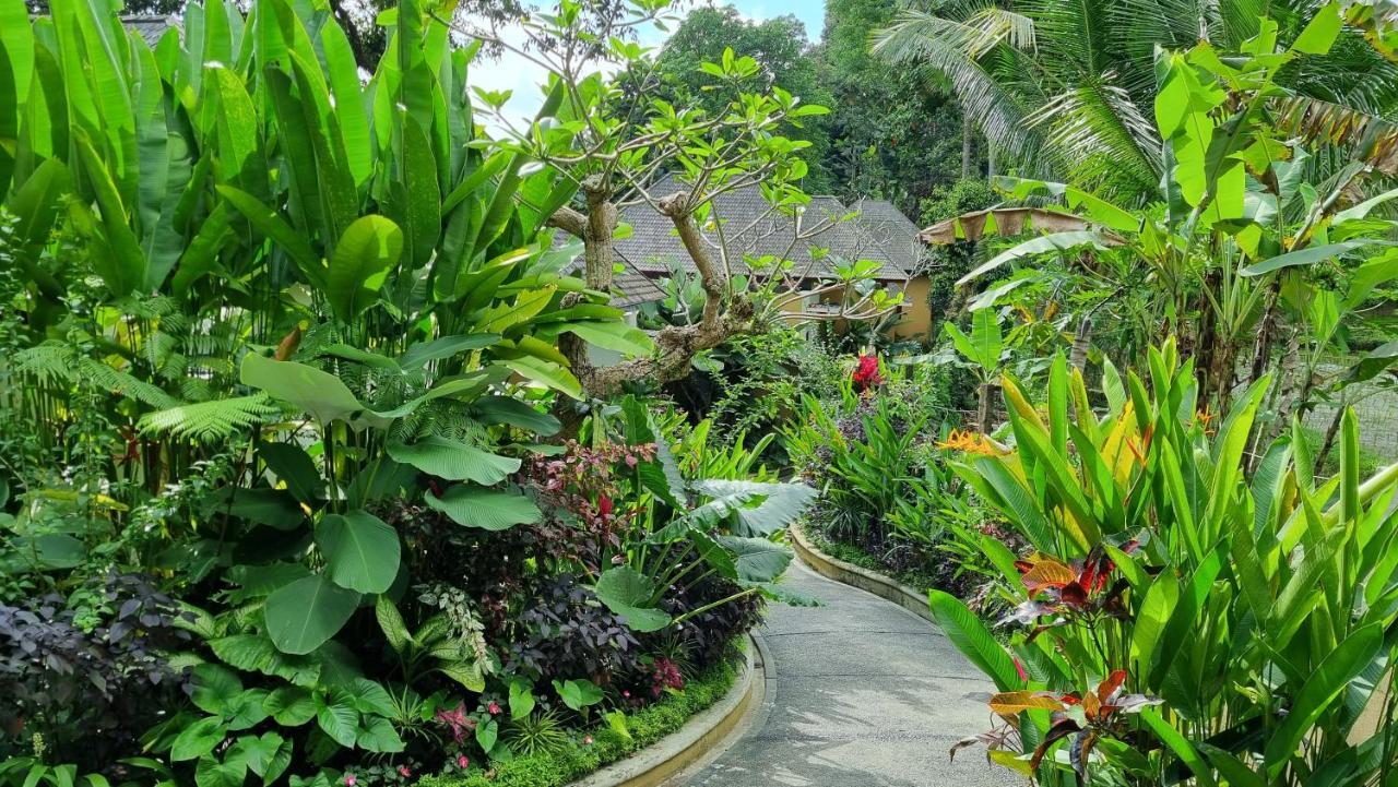 The Sebali Hotel