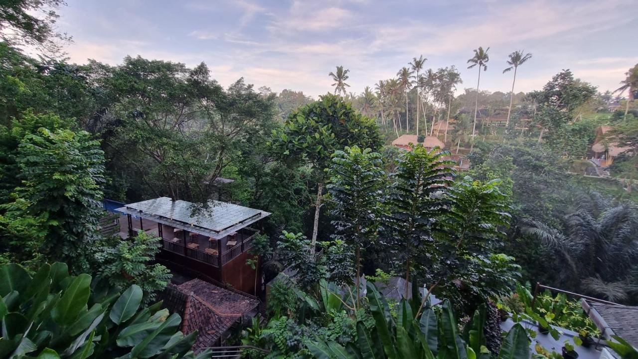 Hotel The Sebali 5*