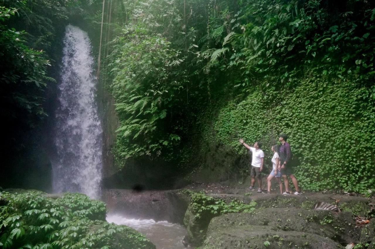 The Sebali 5*