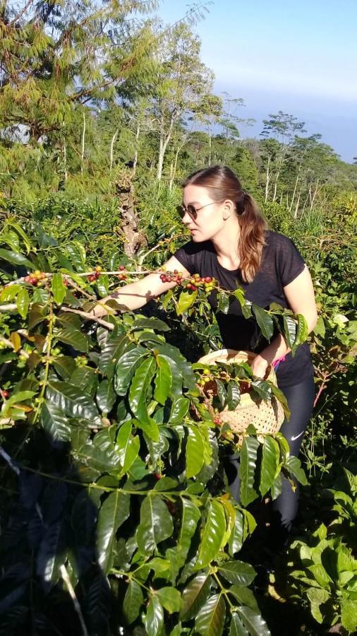 Homestay Retreat - Pekak Lelut Munduk (Bali)