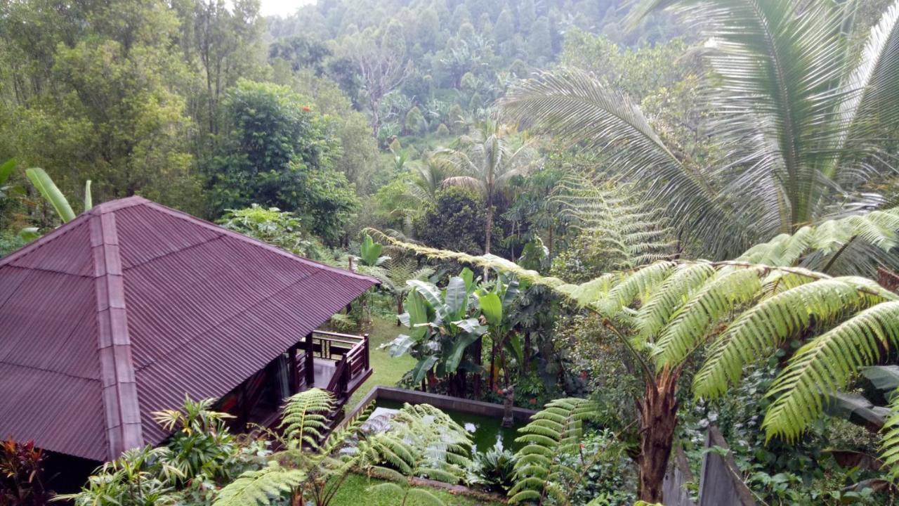 Bintang Hotel