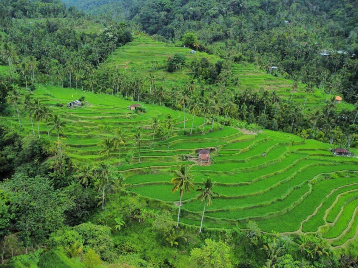 Homestay Friendly Lemukih Singaraja (Bali)