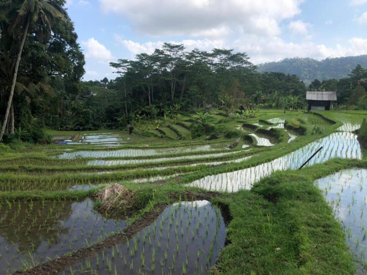 Lodge Masa Depan Sidemen (Bali)