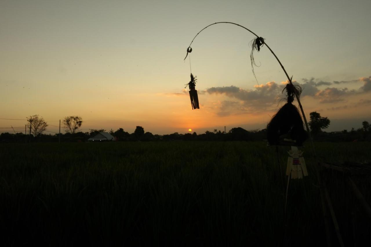 Homestay Timbis Bali