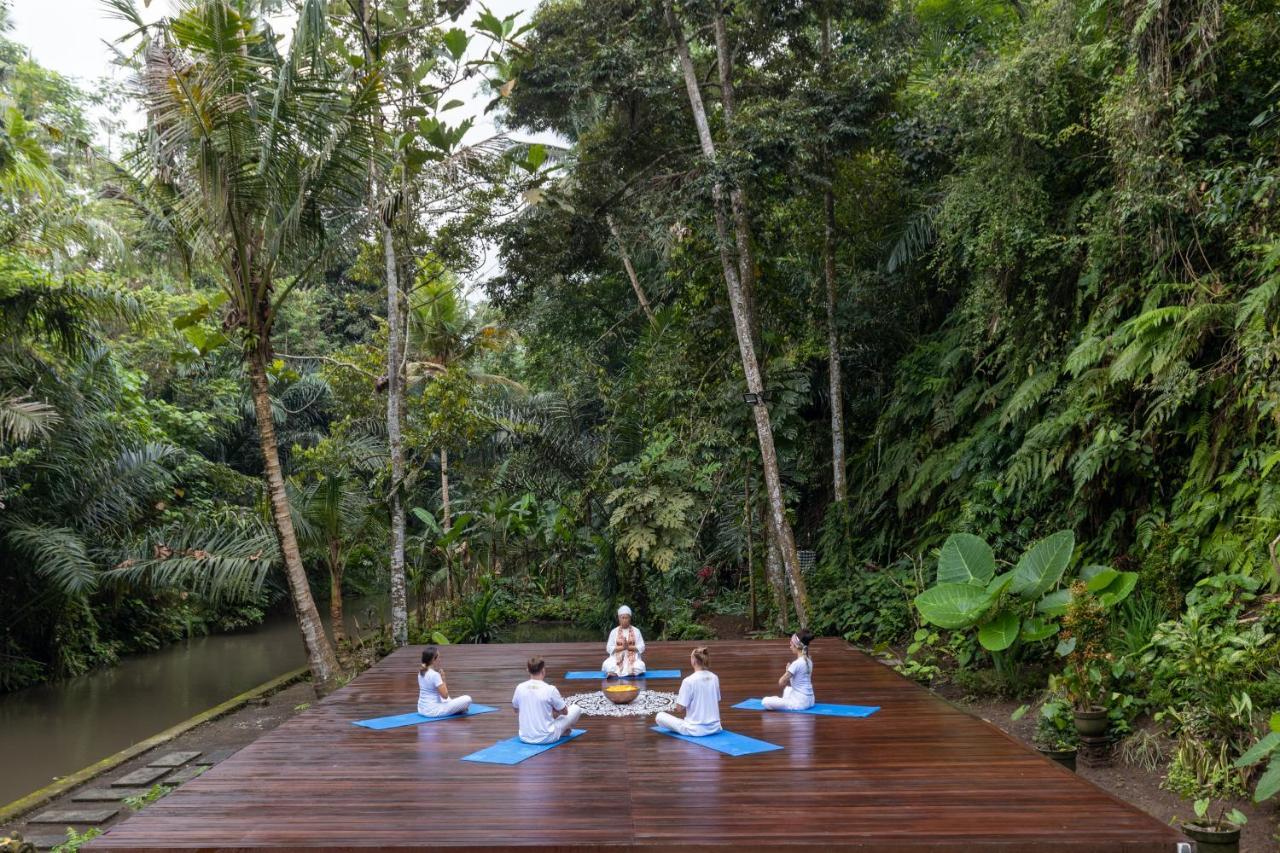 Hotel Tattva Retreat & Wellness 3*