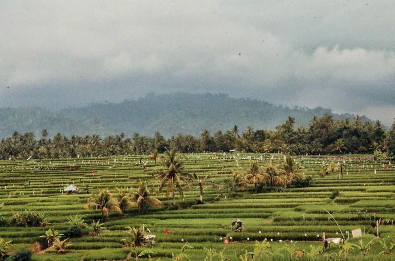 Surfers And Medewi * Jembrana (Bali)