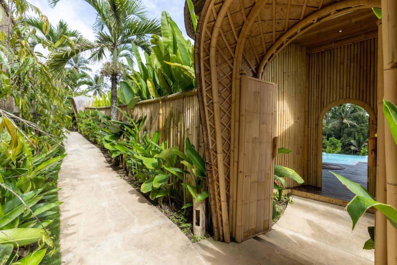 Eco Six Bali