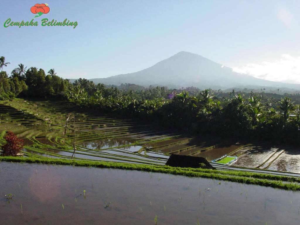 Holiday park Cempaka Belimbing 4*