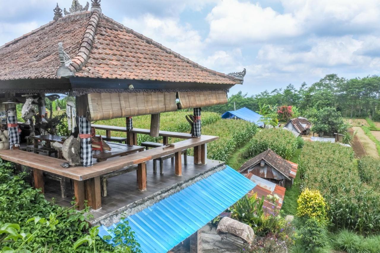 Nyoman Bedugul By Agata Bedugul (Bali)