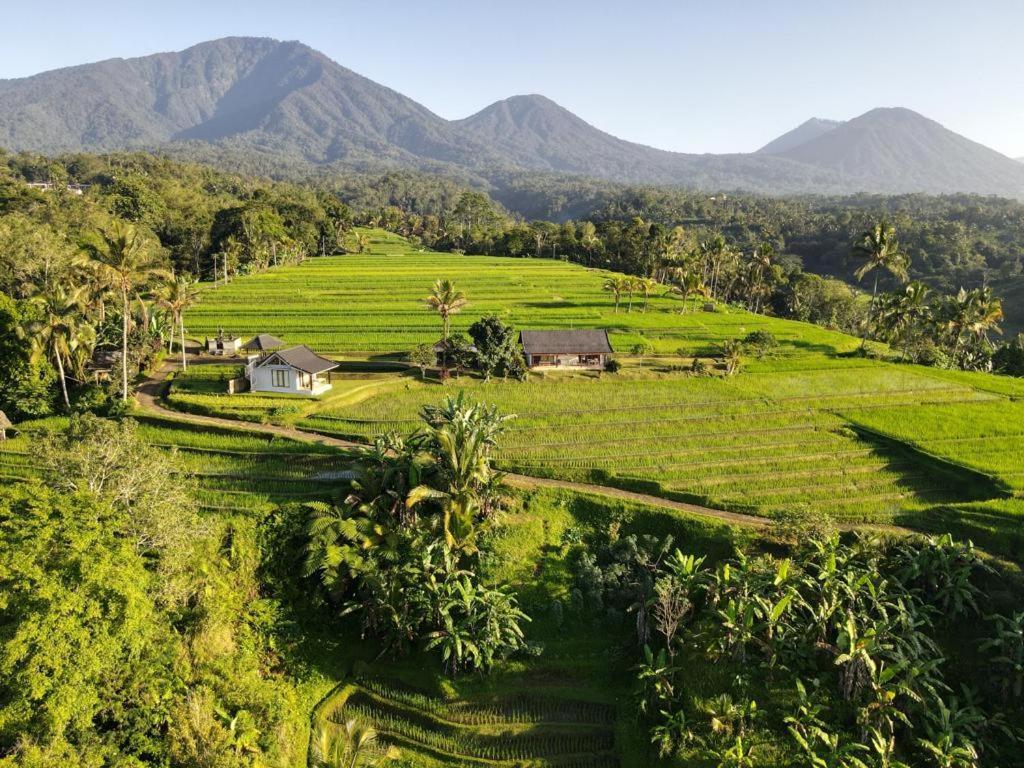Kubu D'ume Homestay Jatiluwih