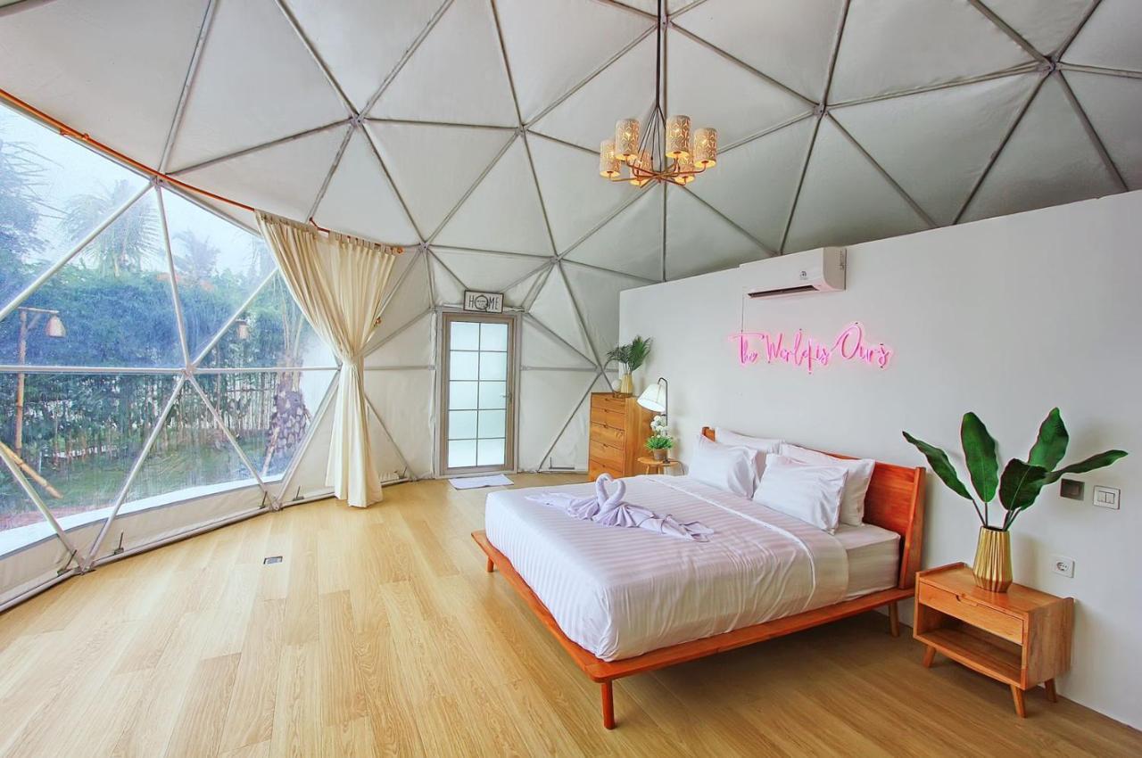 Lodge Coconut Galaxy *
