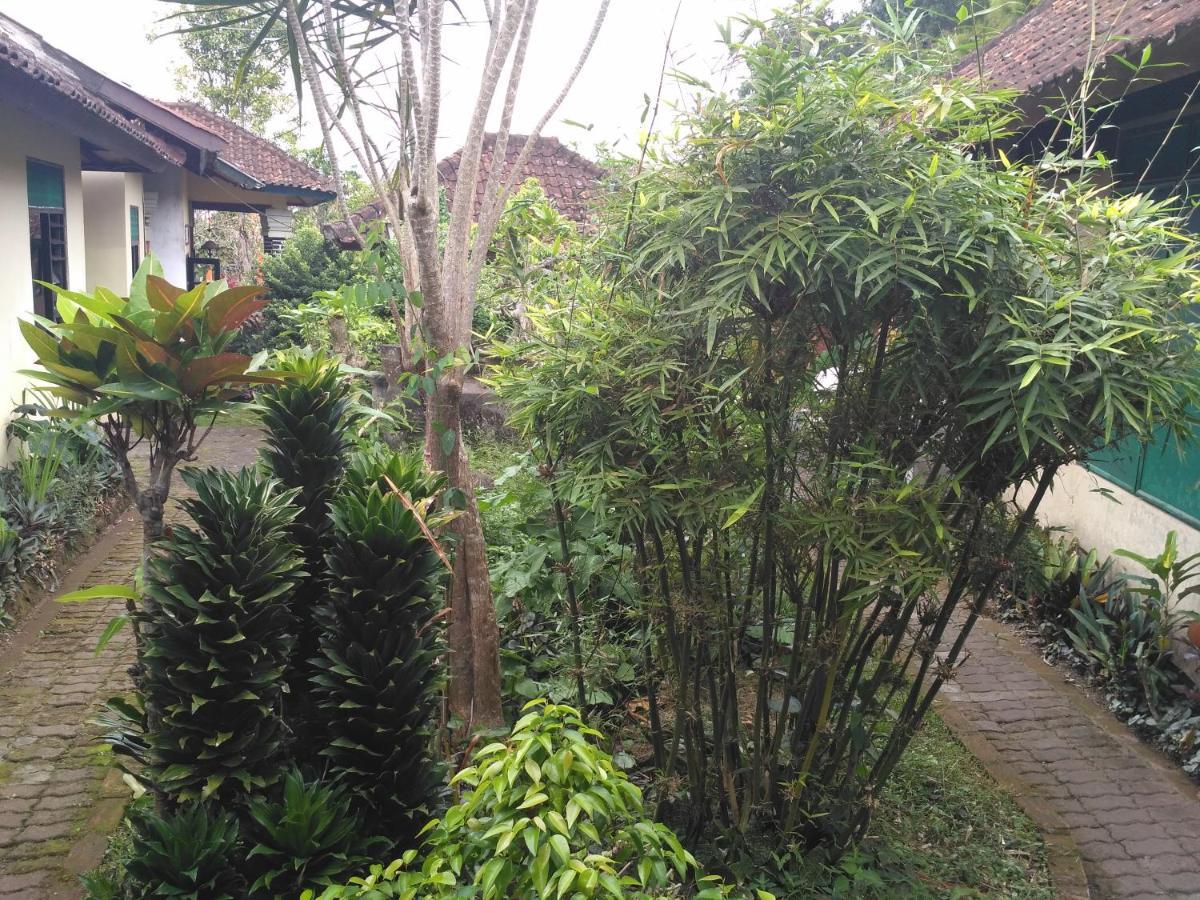 Dhangin Taman Inn *