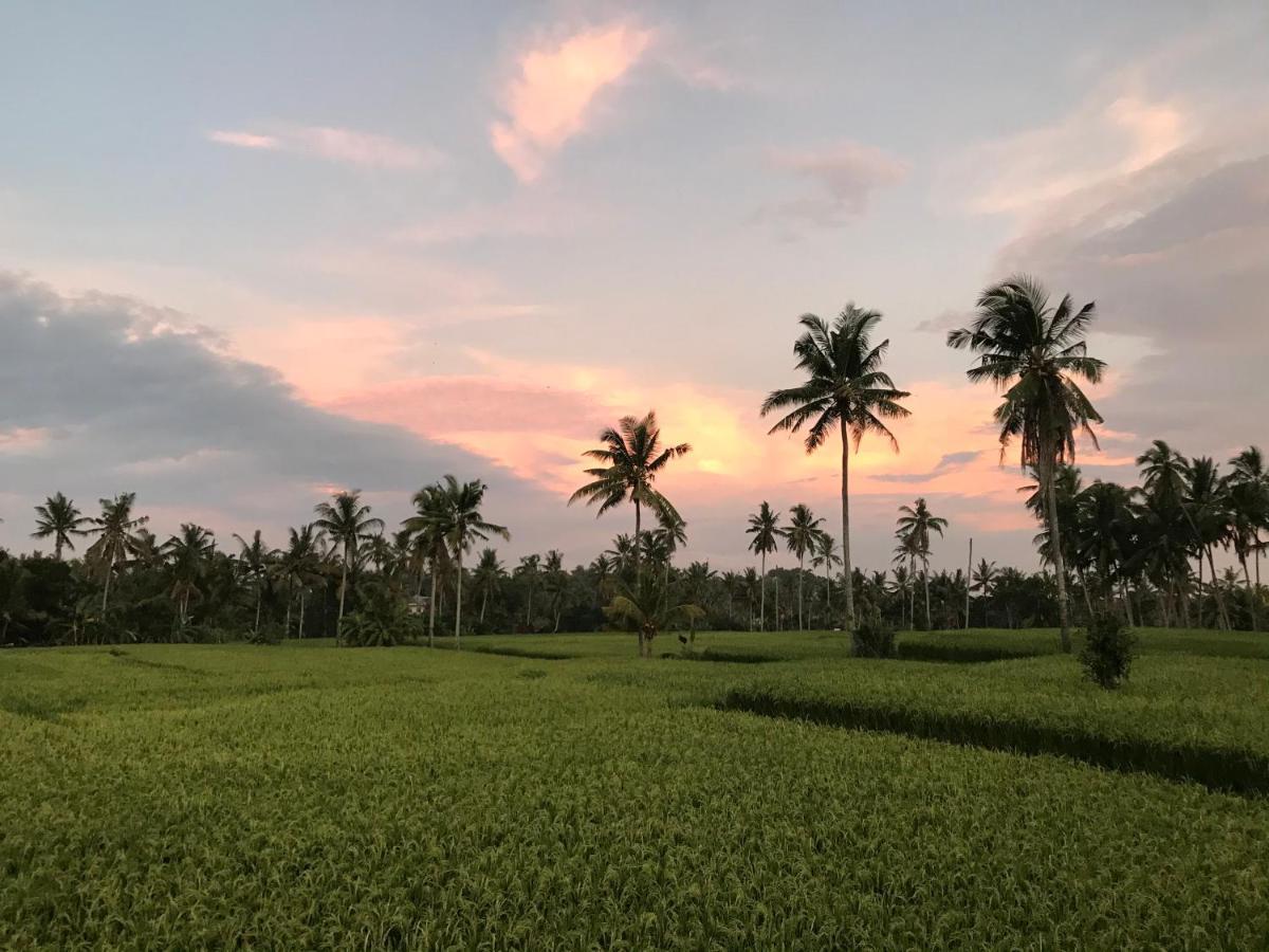 Sunset Pandawa Ubud (Bali)