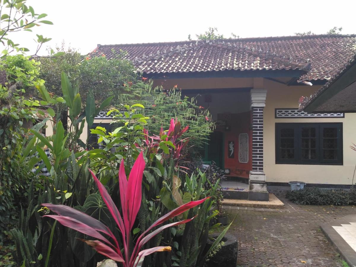 Dhangin Taman Inn Karangasem (Bali)