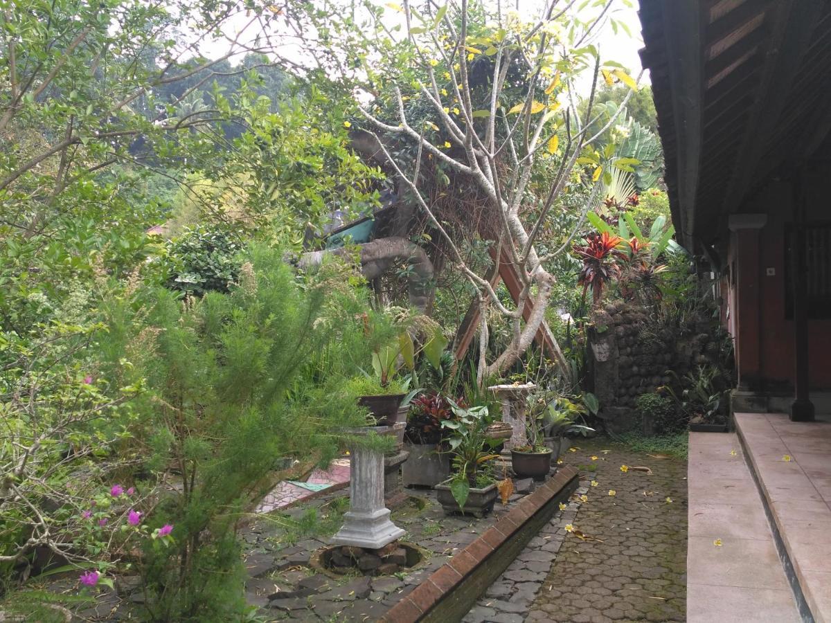 Inn Dhangin Taman *