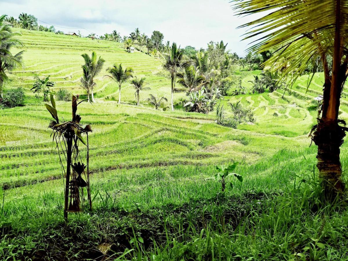 D'ume Bendoel Homestay *