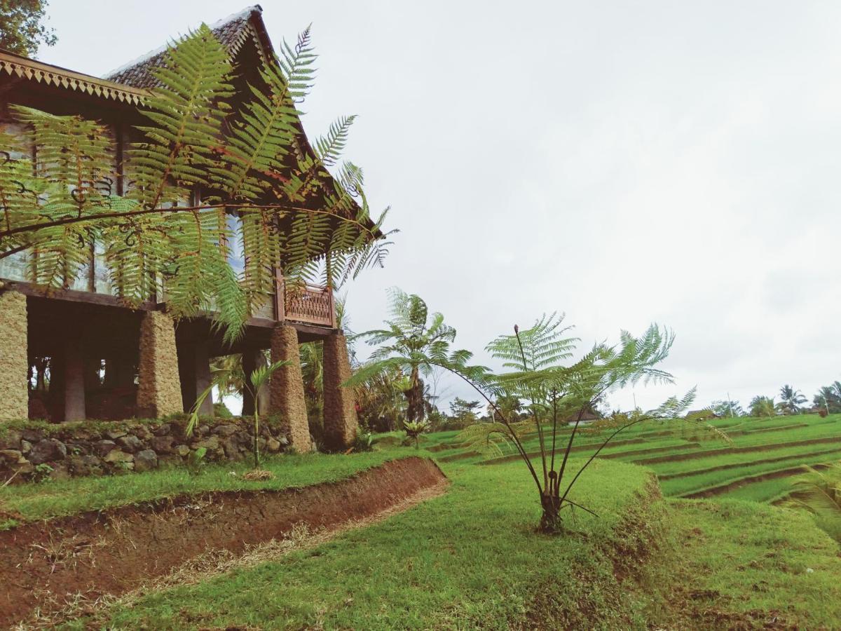 Homestay D'ume Bendoel Jatiluwih