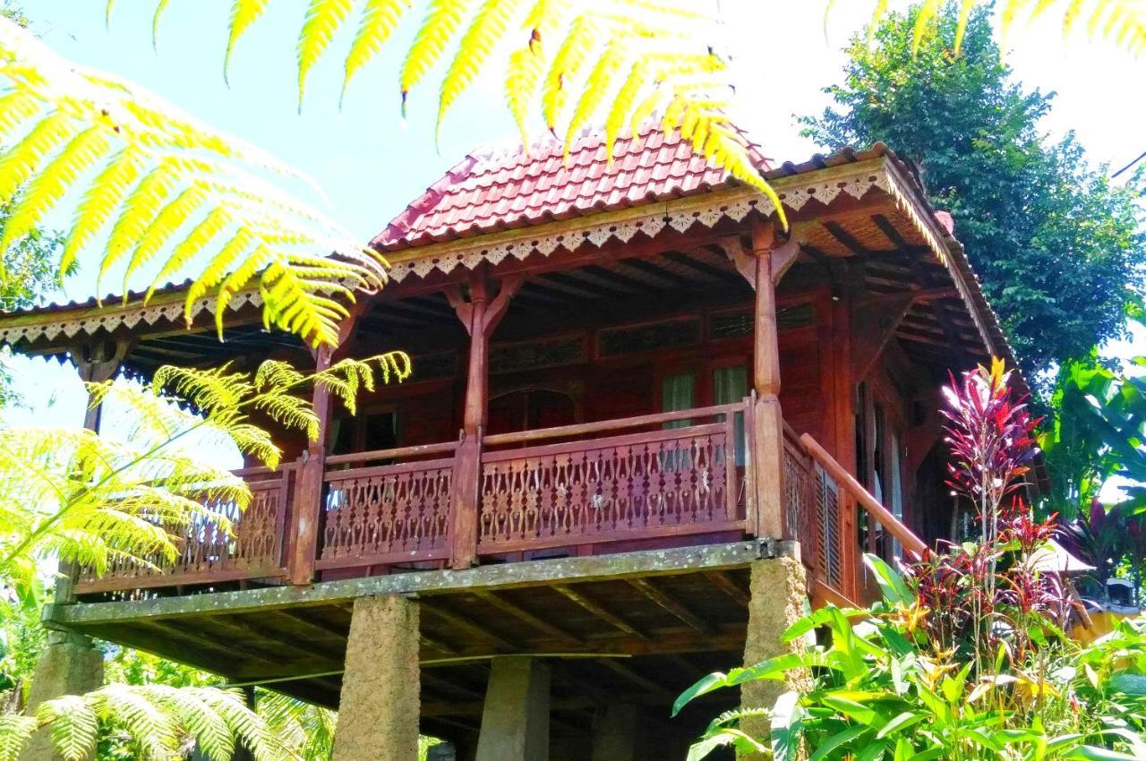 Homestay D'ume Bendoel