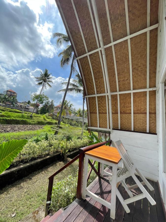 Damuh Pertivi, River And Rice Fields View * Lovina (Bali)