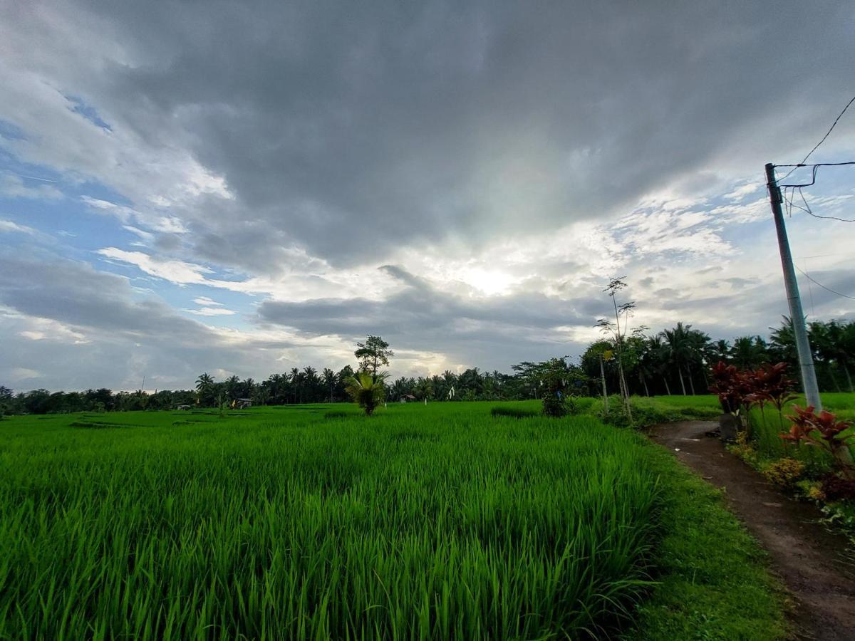 Villa Shivananda Antique By Eps Ubud (Bali)