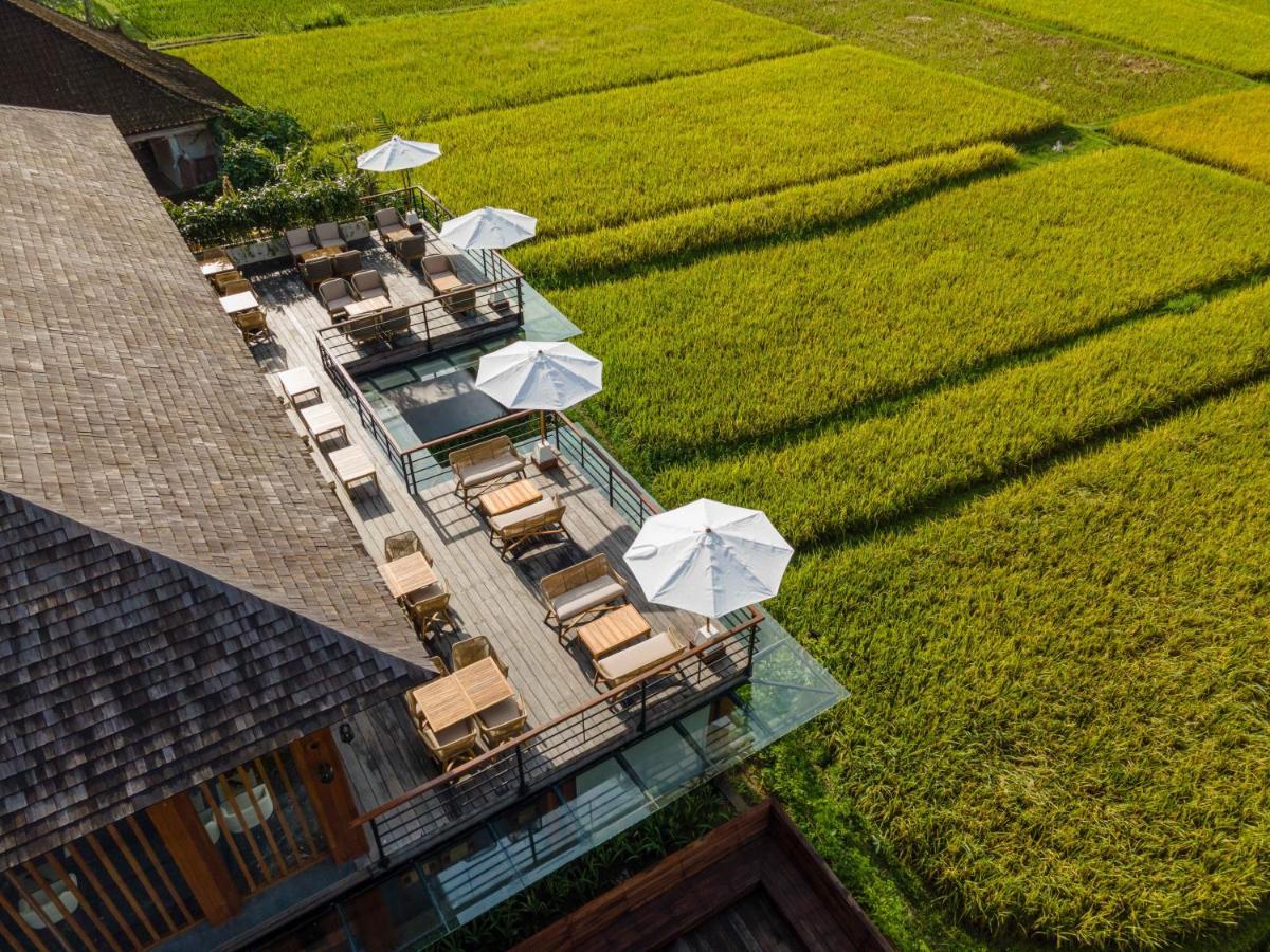 Kappa Senses 5* Ubud (Bali)