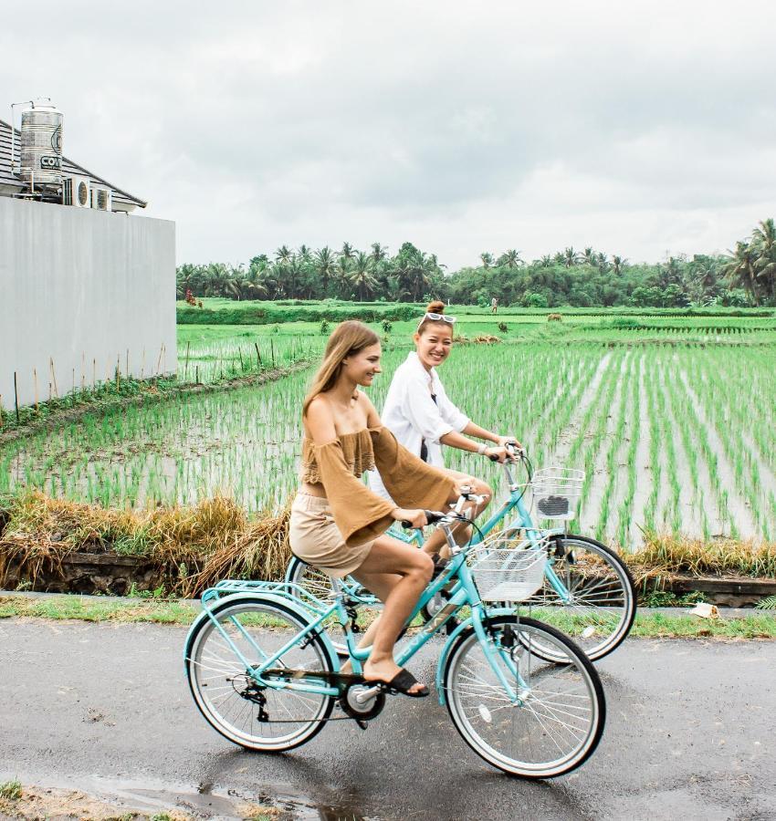 Omkara Villa Ubud (Bali)