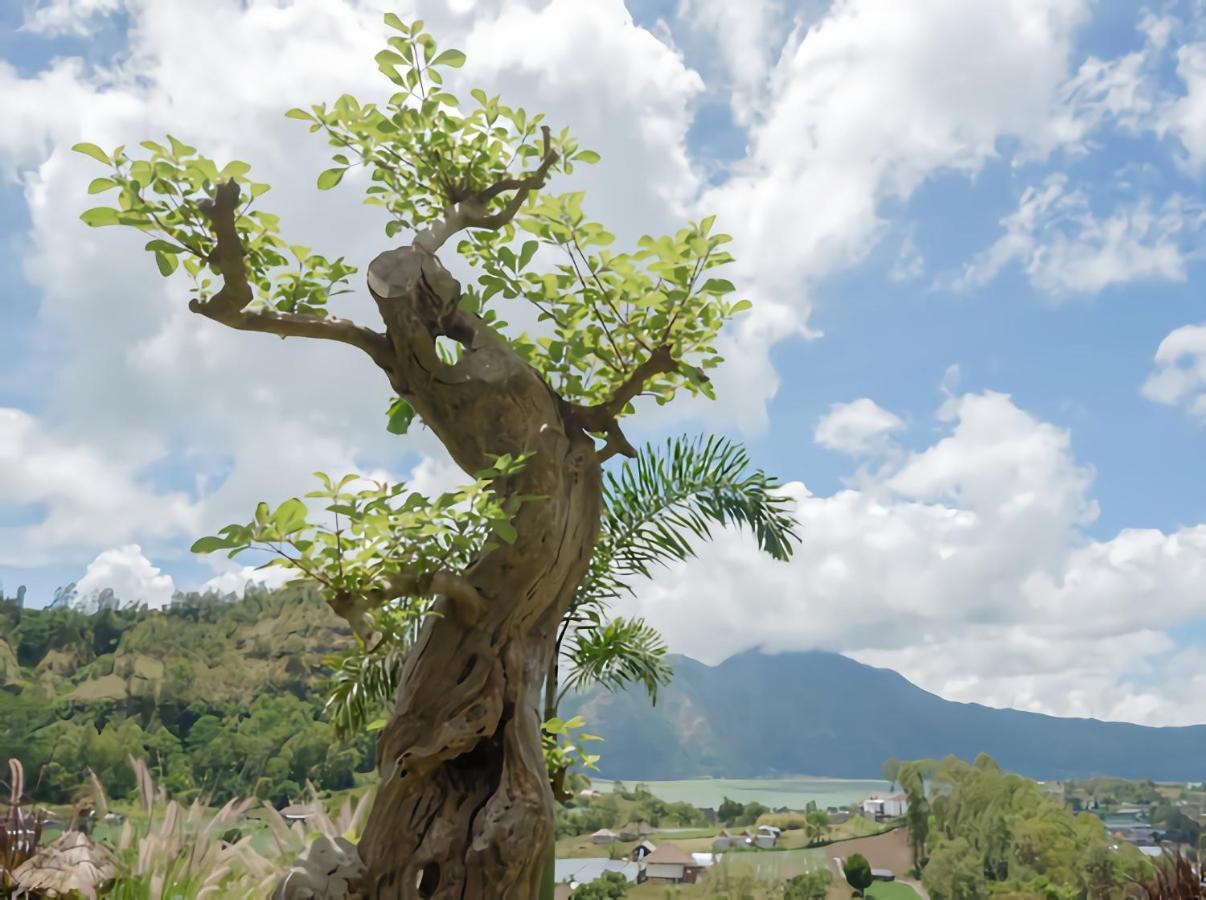 Batur Cliff Panorama