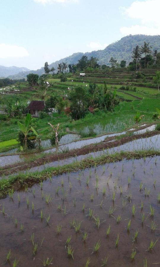 Homestay Jana's