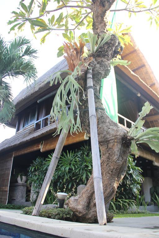 Villa Radiant Jepun *