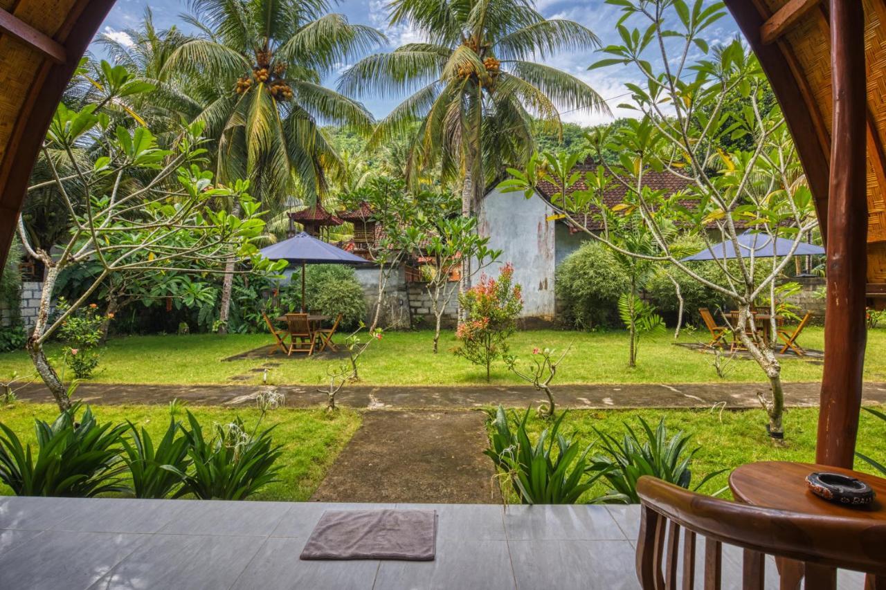Guest house Maharga 2*