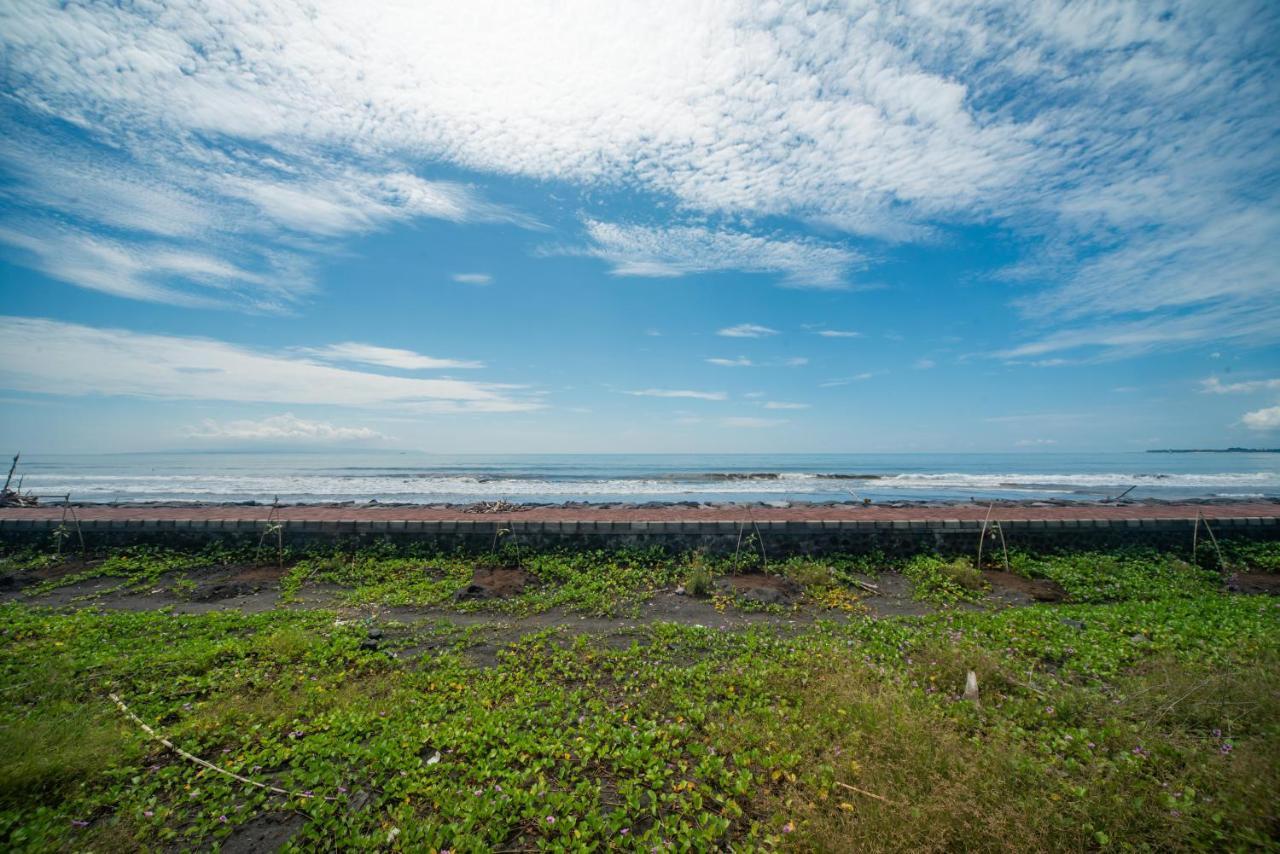 Suzuki Beachfront *