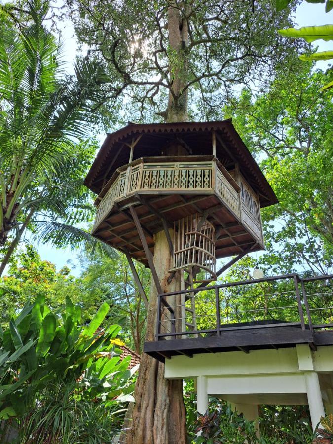 Holiday park Tree House *