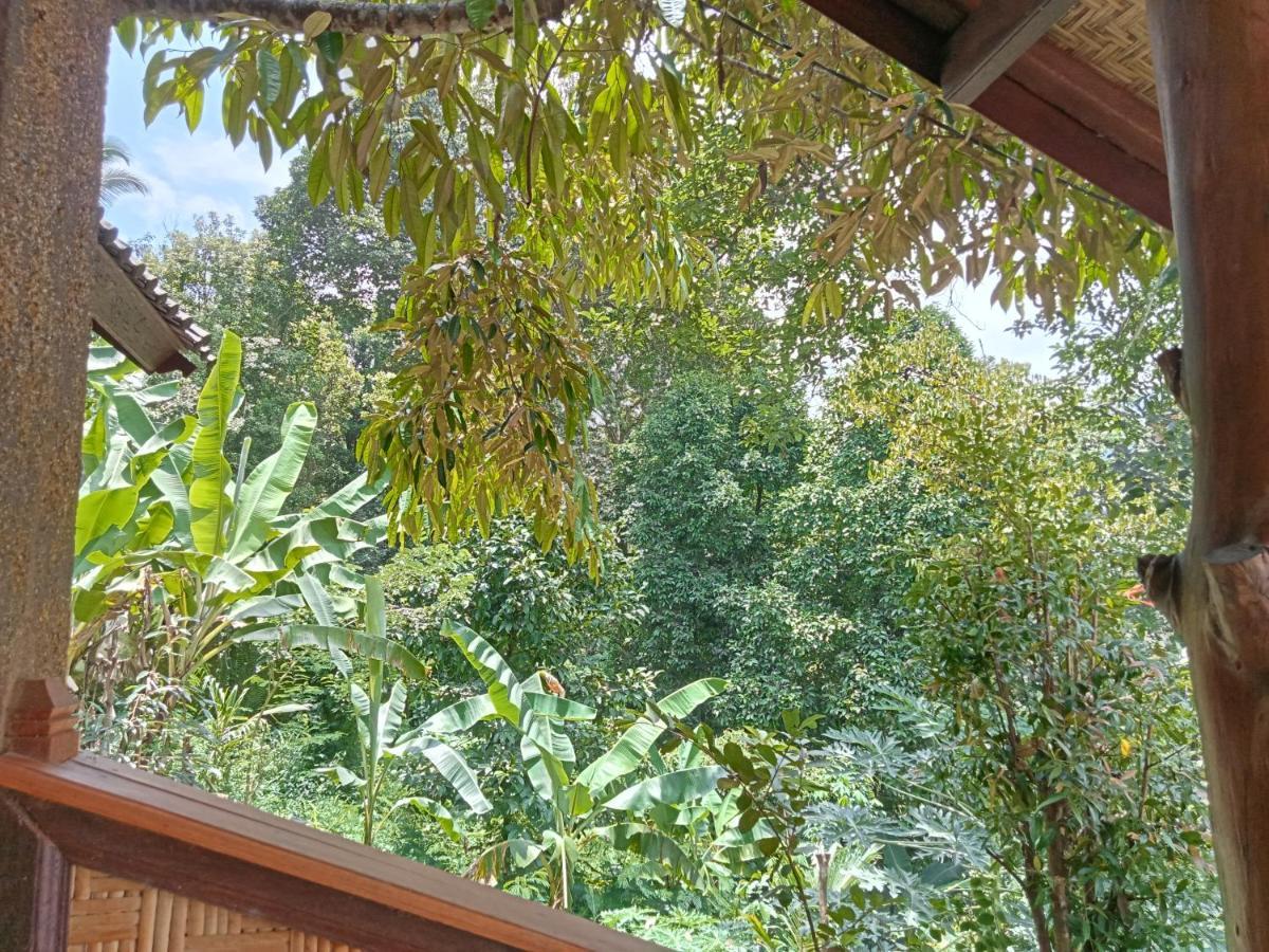 Buda's Lemukih Buleleng (Bali)
