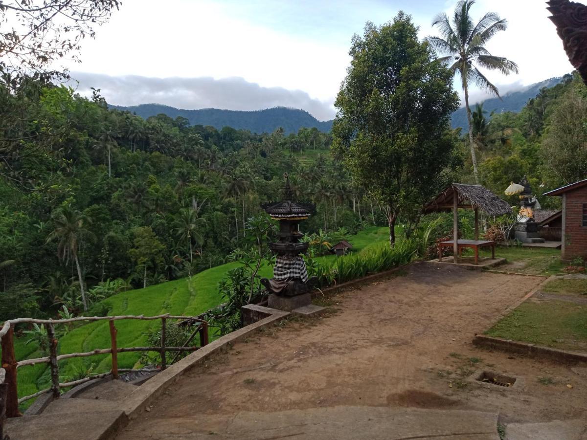 Buda's Lemukih Homestay Buleleng (Bali)