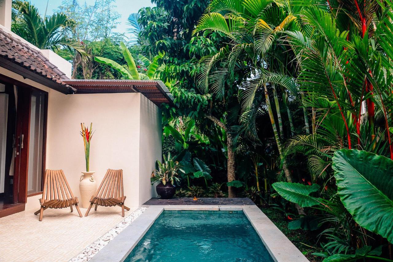 Soulshine And Retreat 5* Ubud (Bali)