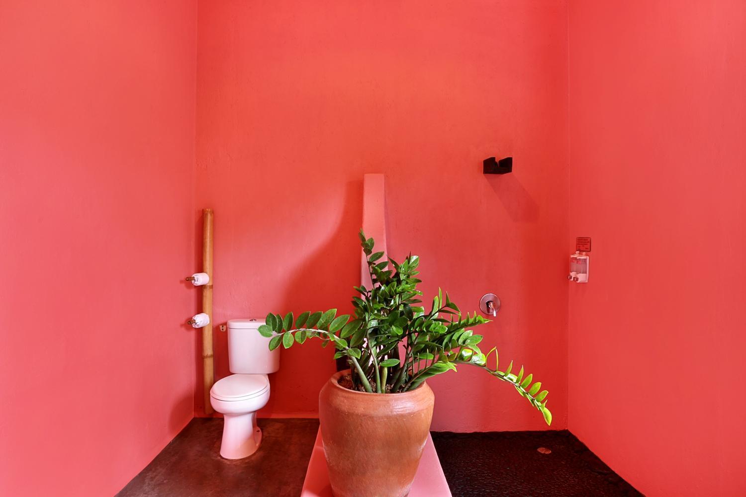 Pinkcoco - Constant Surprises & For Cool Adults Only Hotel 3*