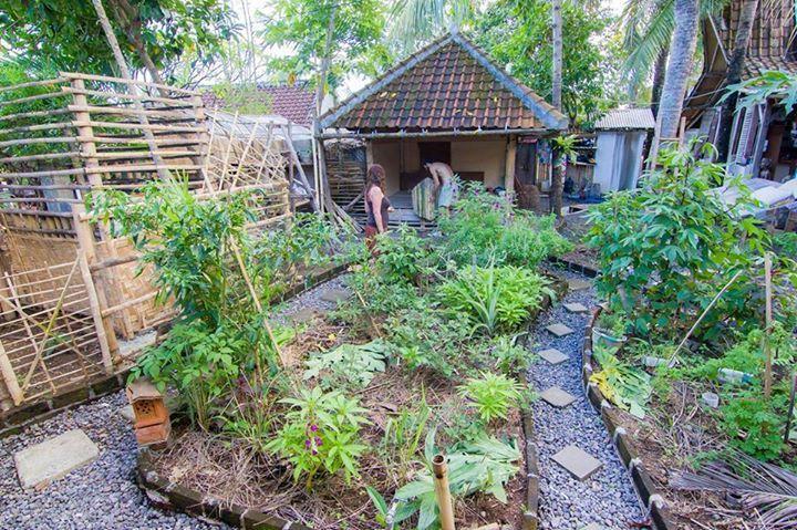 Hostel Farmer's Yard Canggu (Bali)