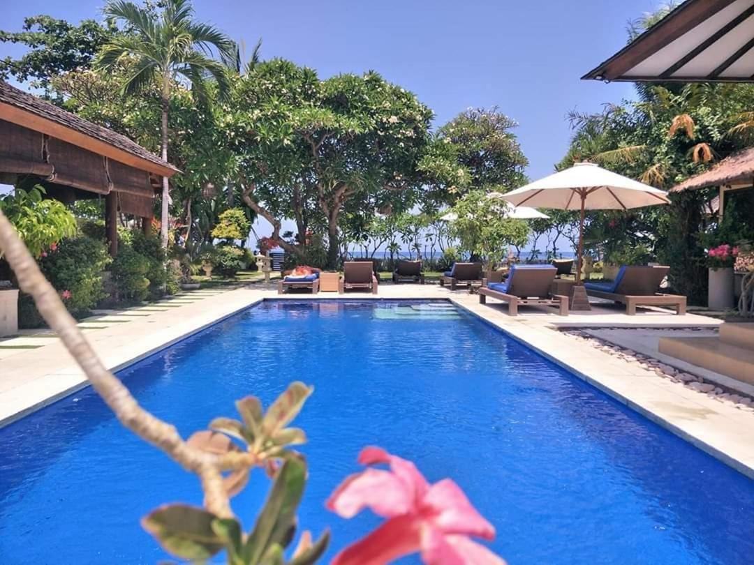 Frangipani