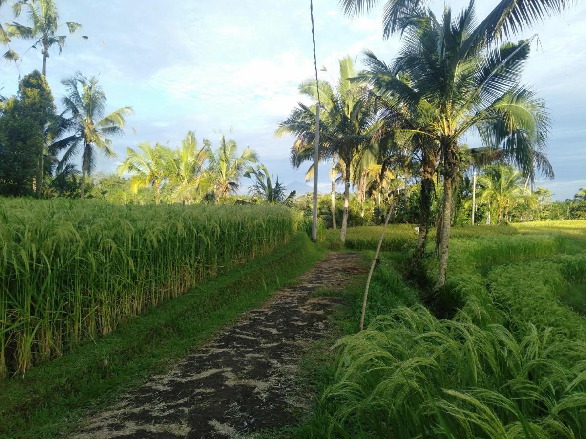 D'ume Bendoel Homestay *