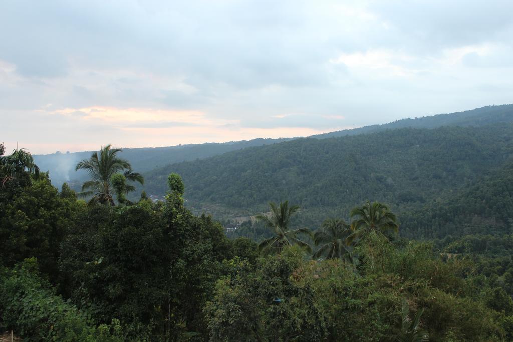 Maliana Munduk (Bali)